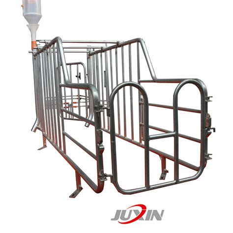 High Quality Pig Farm Equipment Farrowing Crate Gestation Pen Stainless