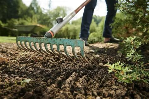 Aprende C Mo Elegir Las Herramientas Para Trabajar La Tierra