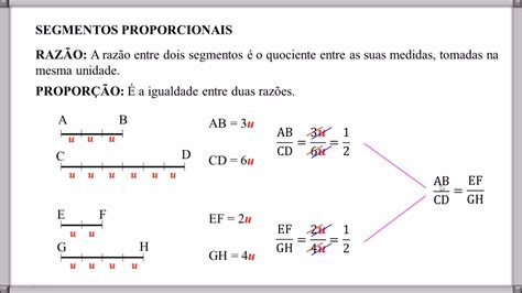 25 Segmentos Proporcionais Youtube