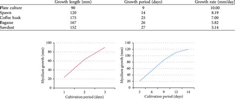 Growth Features Of Mycelium Grown On Pda And Different Substrates