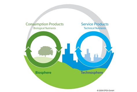 3 Examples of the Circular Economy | by Maria Antoanela Ionita ...