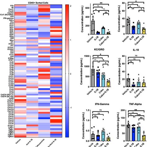 Combination cabozantinib and anti Interleukin 1β modulate intratumoral