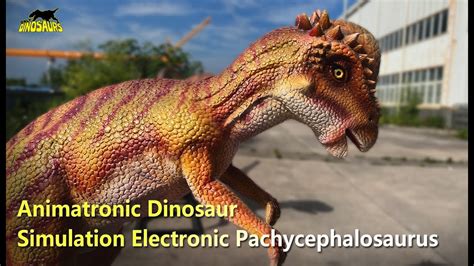 Simulation Electronic Pachycephalosaurus Dino Model Animatronic Dinosaur Youtube