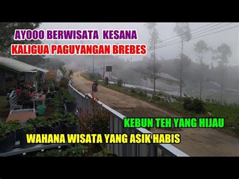 Explore Perjalanan Ke Kaligua Paguyangan Brebes Masa New Normal Indah