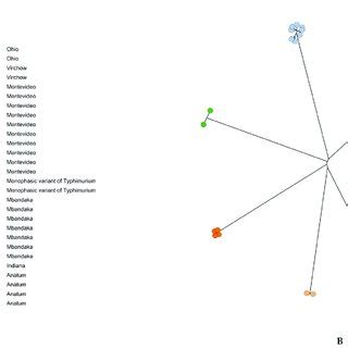 Dendrogram Of Pulsed Field Gel Electrophoresis PFGE Cluster Analysis