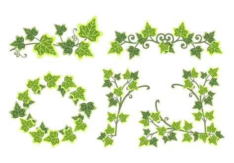 Ivy Border Free Vector Art 3306 Free Downloads