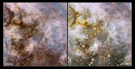 Cosmic Creepy-Crawly: A Peek Inside The Tarantula Nebula | Science 2.0