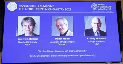 Nobel Prize in chemistry goes to 3 scientists for ‘snapping molecules ...