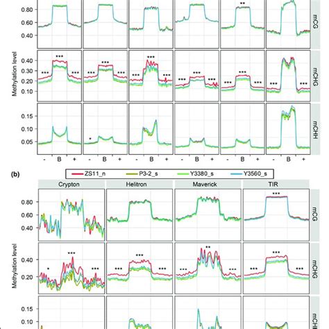 Average Distribution Of Dna Methylation Levels Over Different Types Of