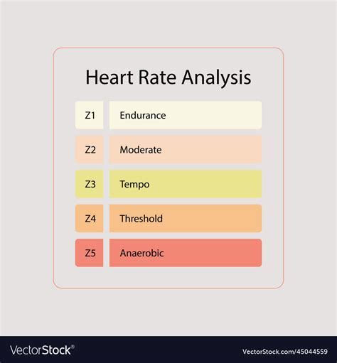 Heart Rate Zones Pulse Intensity Educational Vector Image