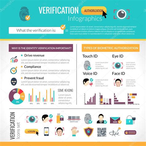 Verification Infographics Set Stock Vector Image By ©macrovector 89255876