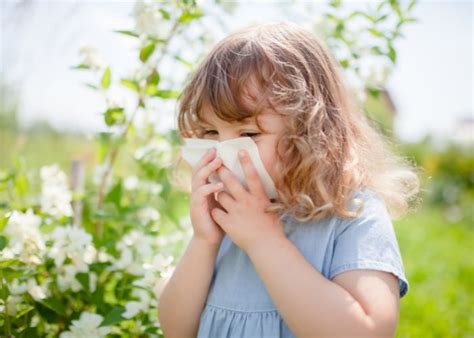 Allergien Wenn Das Immunsystem Berreagiert Was Tun