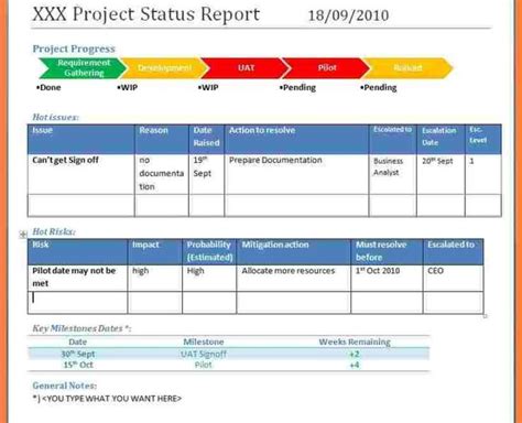 Testing Daily Status Report Template