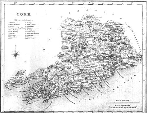 Main Cork Page | County cork, Genealogy, Genealogy ireland