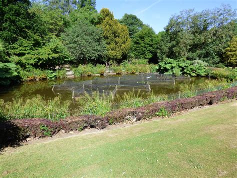 Walton Hall And Gardens Set To Reopen Walton Hall And Gardens