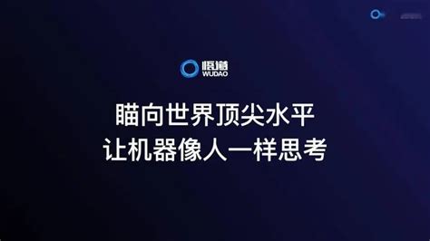 北京智源6月10日发布悟道 30 大模型系列 零沫ai工具导航