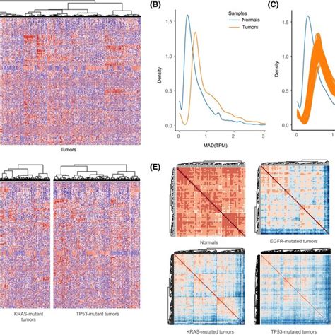 High Transcriptomic Heterogeneity In Tumors With Driver Gene Mutations