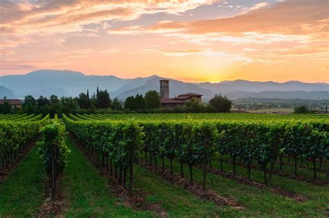 Festival Franciacorta In Cantina 2024 ANNUNCIATE DATE