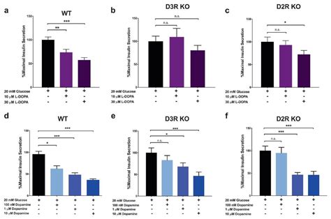 The Effects of Dopamine and Antipsychotic Drugs on the Body’s Ability ...