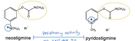 Acetylcholinesterase Inhibitors Achei Flashcards Quizlet