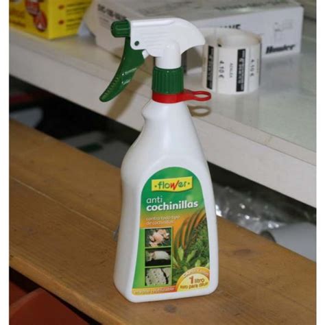 Como Eliminar La Cochinilla Blanca De Mis Plantas Store Dakora Co