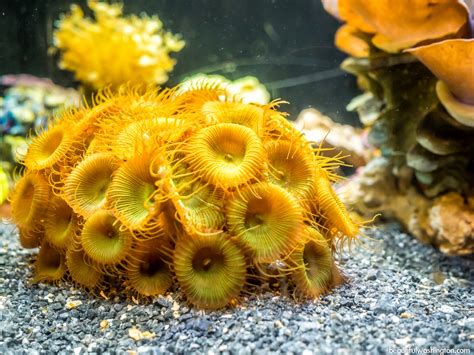 Seattle Aquarium