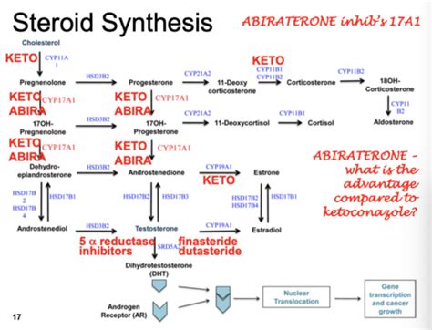 Endo Male Reproductive Endocrinology Pharmacological Applications