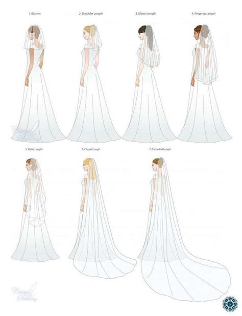 A Quick Chart Of Different Veil Types From Geomyra Weddings And Events