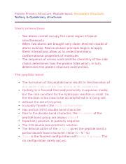 Primary Secondary Tertiary Quaternary Protein Structures Docx