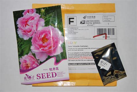 Southern Peony: 2013 Chinese Peony Seeds from Ebay