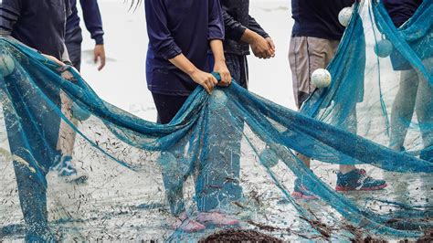 La ley de pesca permitirá que las mariscadoras se jubilen antes