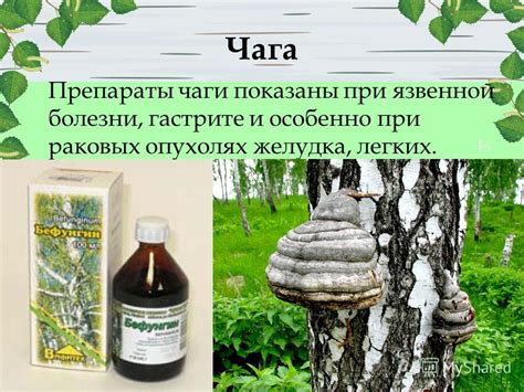 Презентация на тему: "Муниципальное бюджетное общеобразовательное ...