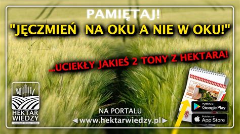 J Czmie Ozimy Tu Niestety Uciek Y Jakie Tony Z Hektara Hektar