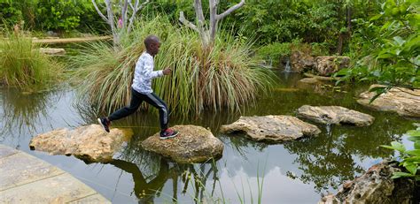 Asla General Design Award Of Honor The Leon Levy Native Plant