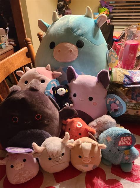 The Best Squishmallow Hunt Yet R Squishmallow