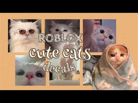 Roblox Cute Cat Decals Aueie YouTube