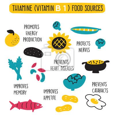 Vitamin B Complex Food Sources Vector Cartoon Illustration