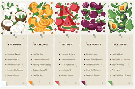 Eet Een Regenboog Infographic Stijl Gratis Vector