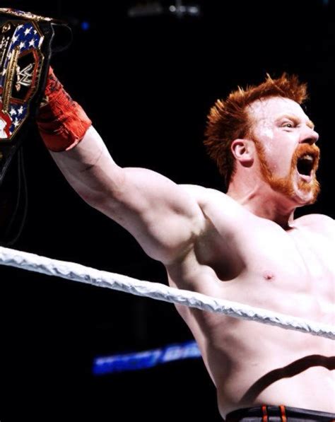 Pin By Rennee Marie On Wwe Sheamus Irish Men Wrestling