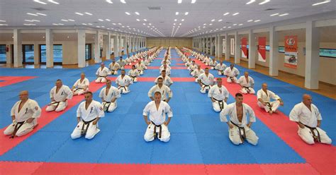 Pliki Do Pobrania Polska Federacja Karate Shinkyokushin