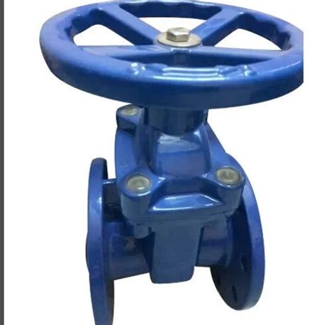 Pn Stainless Steel Resilient Seated Gate Valve For Water Sewage At