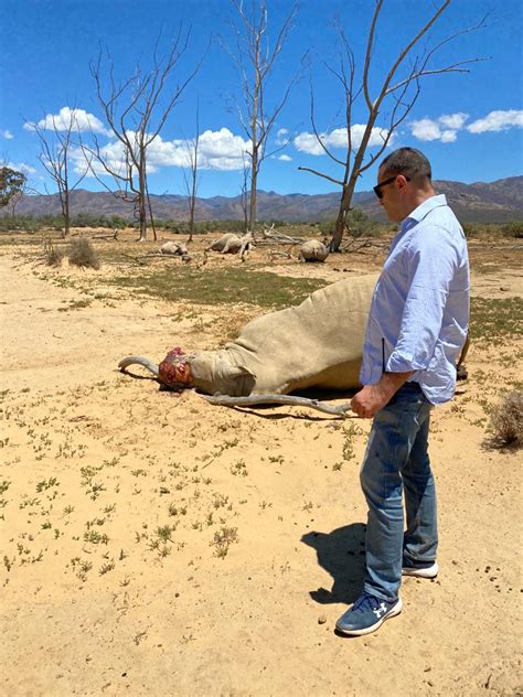 Owner Searl Derman At The Inverdoorn Rhino Killing Scene Aquila