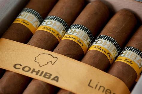 Best Cohiba Cigar for Beginners | EGM Cigars