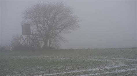 Wetter Leichter Schnee Und Gefrierender Regen In Baden W Rttemberg