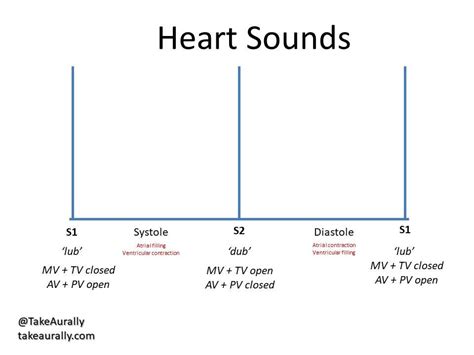 Heart Murmurs — Take Aurally