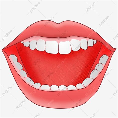 Mouth Teeth White Transparent, Cartoon Hand Drawn Open Mouth And White ...