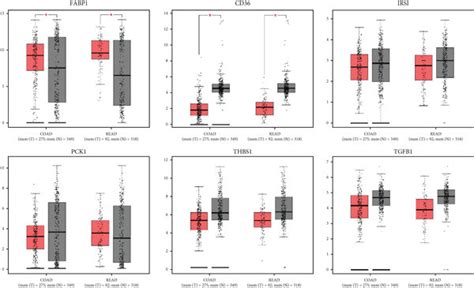 Gene Expression Profiles Of A Fabp Cd Irs Pck Thbs And