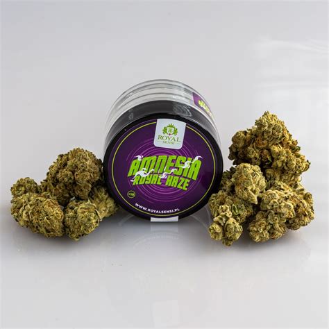 Susz Konopny CBD Amnesia Royal Haze Royal Sensi 2g Jamaican Shop