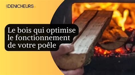 Quel Bois De Chauffage Choisir Pour Le Bon Fonctionnement De Votre