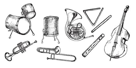 Set Of Drum Kit Contrabass French Horn Vector Illustration Isolated